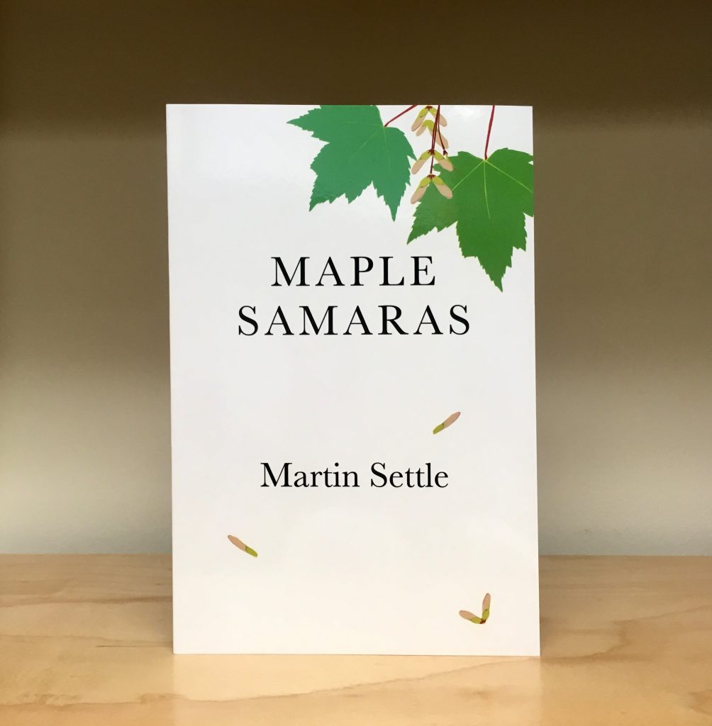 Maple Samaras by Martin Settle