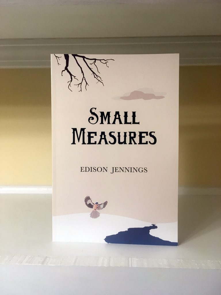 Small Measures by Edison Jennings